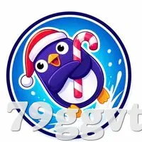 安全登录器